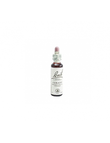 Bach (05) Cerato 20ml
