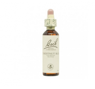 Bach (07) Chestnut Bud 20ml