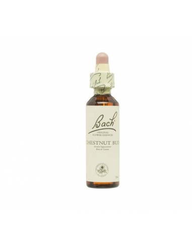 Bach (07) Chestnut Bud 20ml