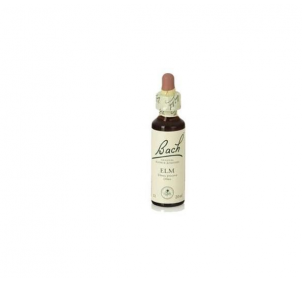 Bach (11) Elm 20ml