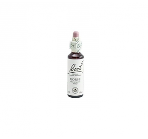 Bach (13) Gorse 20ml