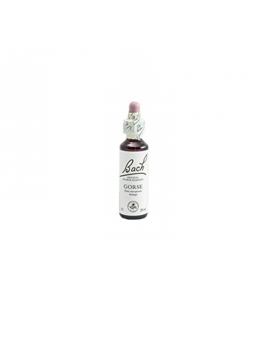 Bach (13) Gorse 20ml