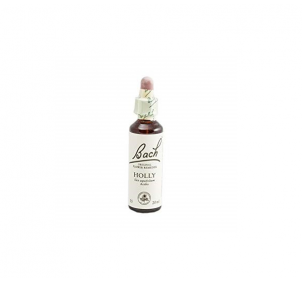 Bach (15) Holly 20ml