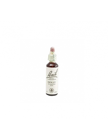 Bach (15) Holly 20ml