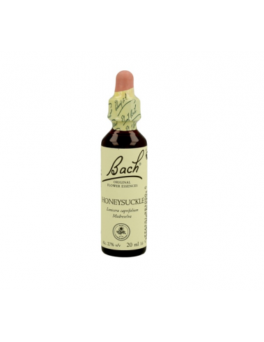 Bach (16) Honeysuckle 20ml