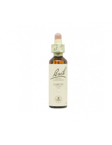 Bach (19) Larch 20ml