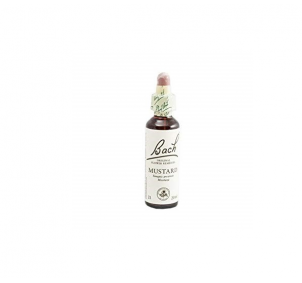 Bach (21) Mustard 20ml