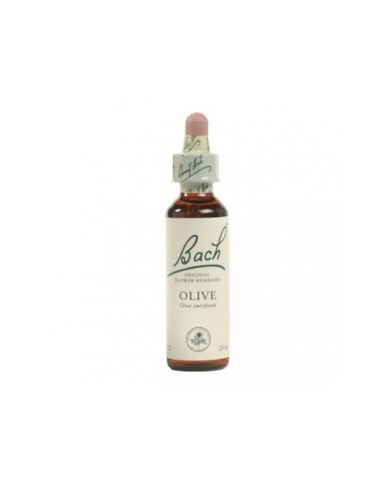 Bach (22) Oak 20ml