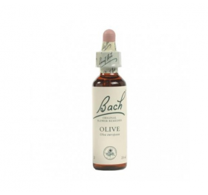 Bach (23) Olive 20ml
