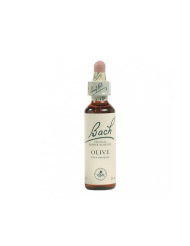 Bach (23) Olive 20ml