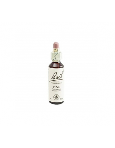 Bach (24) Pine 20ml
