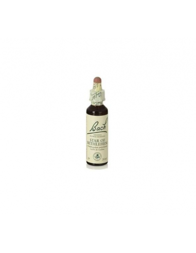 Bach (29) Star Of Bethlehem 20ml