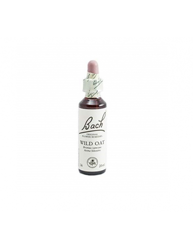 Bach (36) Wild Oat 20ml