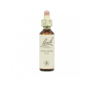 Bach (37) Wild Rose 20ml