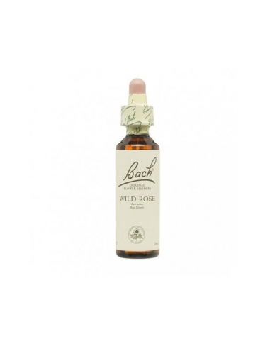 Bach (37) Wild Rose 20ml