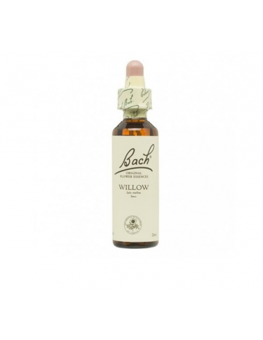 Bach (38) Willow 20ml