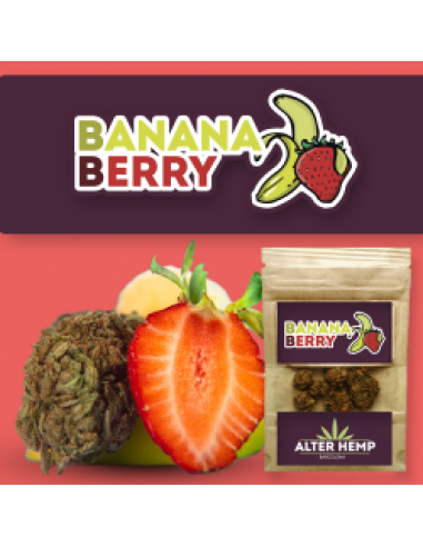 Alterhemp Banana Berry 1gr