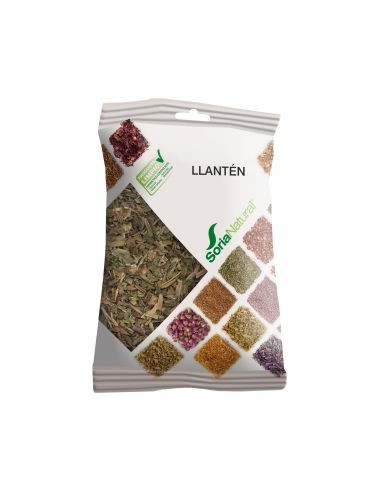 Soria Natural Llanten 40gr