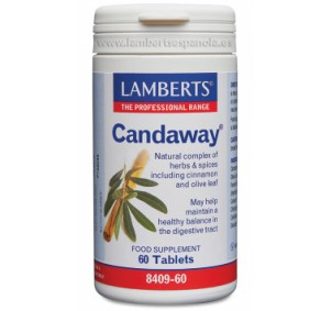 Lamberts Candaway 60...