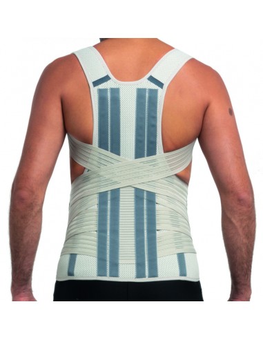 Prim Primspine Gold Faja Dorsolumbar...
