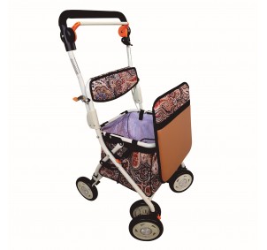 Prim Carro Compra Con...