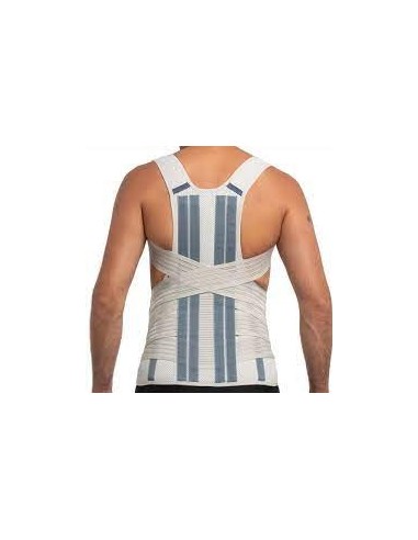 Prim Primspine Gold Faja Dorsolumbar...