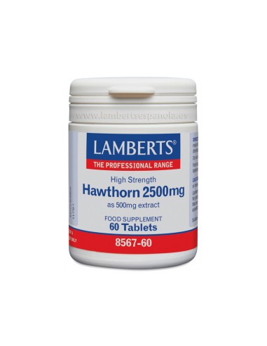 Lamberts Espino Blanco 200ug 100 60 Tabletas
