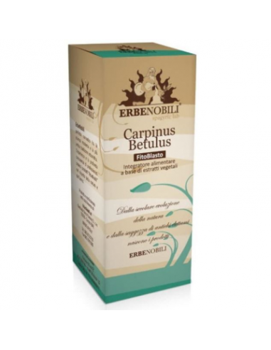Terpenic Fitoblasto Carpinus Betulus...