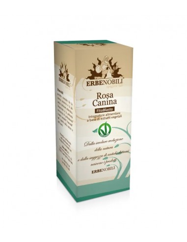Terpenic Fitoblasto Rosa Canina 50ml