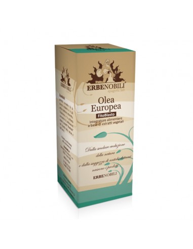 Terpenic Fitoblasto Olea Europea 50ml