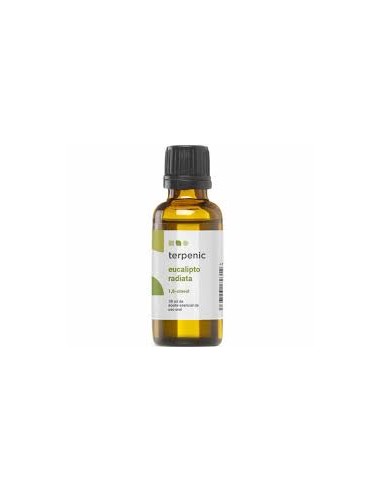 Terpenic Eucalipto Radiata Aceite Esencial 30ml