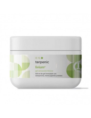 Terpenic Livium Gel Corporal Piernas...