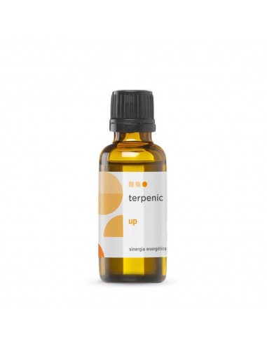 Terpenic Up Sinergia Aromadifusión 30ml