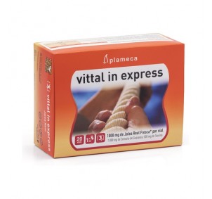 Plameca Vittal In Express...
