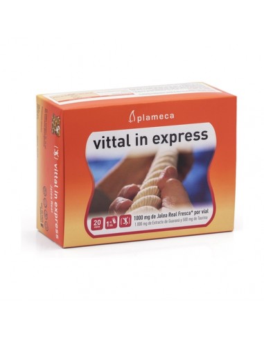 Plameca Vittal In Express 20 Viales