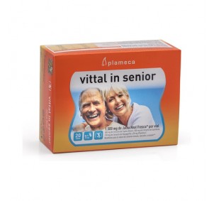 Plameca Vittal In Senior 20...
