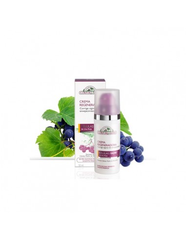 Corpore Sano C.Madre- Crema...