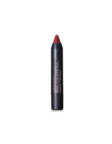Armonia Camaleon Basic Terra 4gr