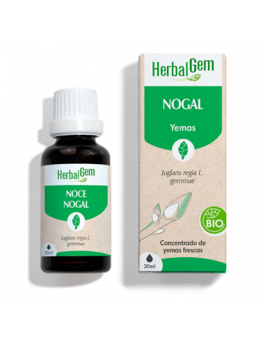 Herbalgem Pino Bio 30ml