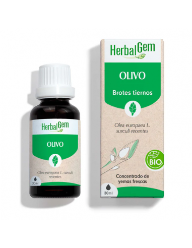 Herbalgem Olivo Bio 30ml