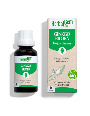 Herbalgem Ginkgo Bio 30ml