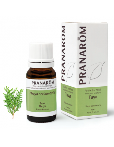 Pranarom Aceite Esencial Tuya Rama 10ml