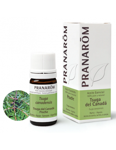 Pranarom Aceite Esencial Tsuga Del...