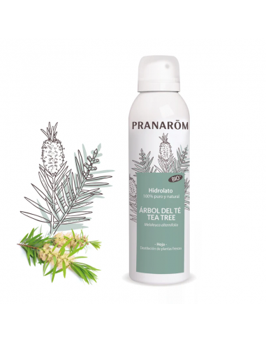 Pranarom Hidrolato Arbol Del Te Bio...