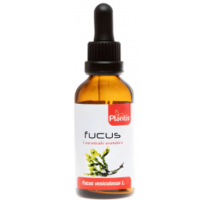Artesania Agricola Fucus...