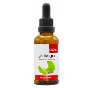 Artesania Agricola Ginkgo...