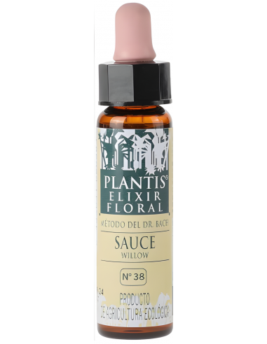 Artesania Agricola Plantis 38 Sauce -...