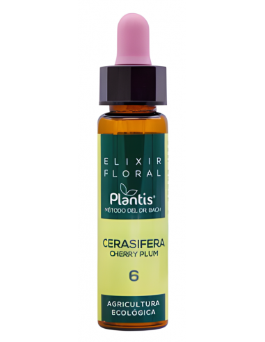 Artesania Agricola Plantis 6...