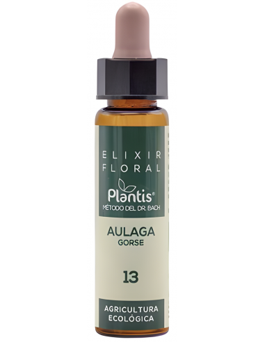 Artesania Agricola Plantis 13 Aulaga...