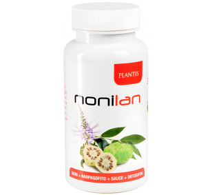 Artesania Agricola Nonilan...